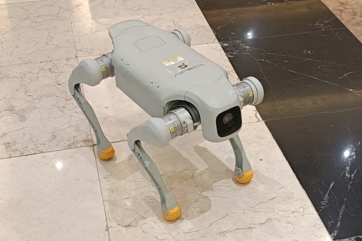 AGIBOT seri D1.